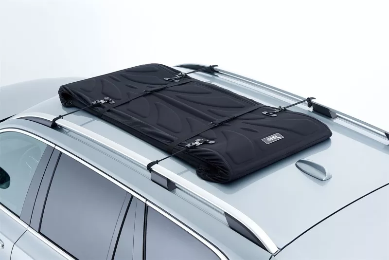 ACE Roof Bags