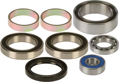 All Balls Chain Case Bearing & Seal Kit (14-1014)