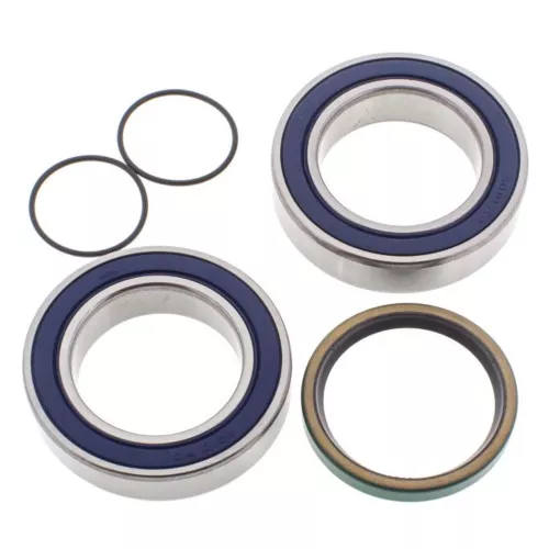 All Balls Chain Case Bearing & Seal Kit - 14-1035