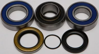 All Balls Chain Case Bearing & Seal Kit - 14-1043