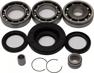 All Balls Rear Differential Bearing And Seal Kit - 25-2013
