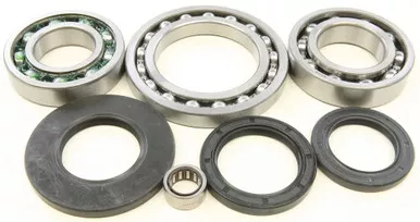 All Balls Rear Differential Bearing And Seal Kit - 25-2023