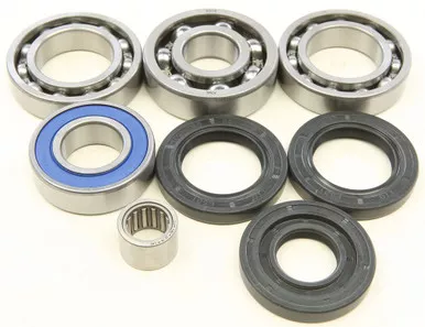 All Balls Rear Differential Bearing And Seal Kit - 25-2043