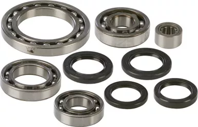 All Balls Rear Differential Bearing And Seal Kit - 25-2064