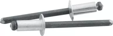 Allstar Performance Sm Hd Rivet Silver 250pk ALL18101