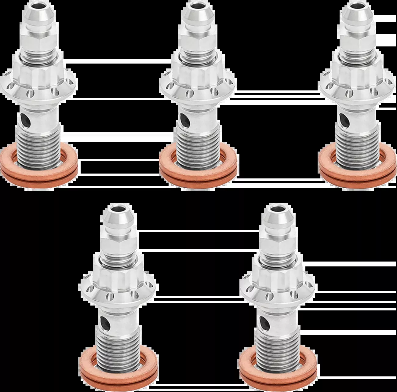 ARLEN NESS Banjo Bolt 5-Pack - 10mm - Polished - 300-866