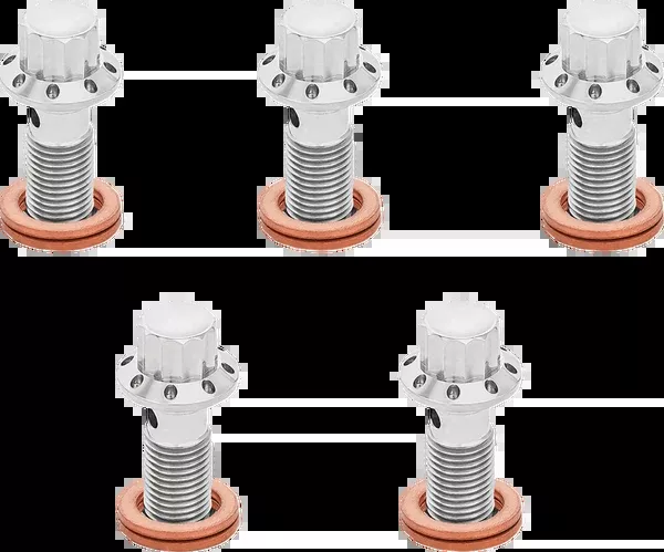 Arlen NESS Banjo Bolt 5-Pack - 3/8"-24 - Polished