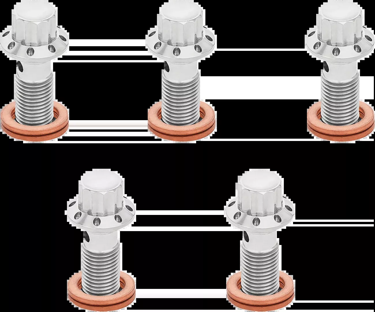 ARLEN NESS Banjo Bolt 5-Pack - M10x1.0 - Polished - 300-857