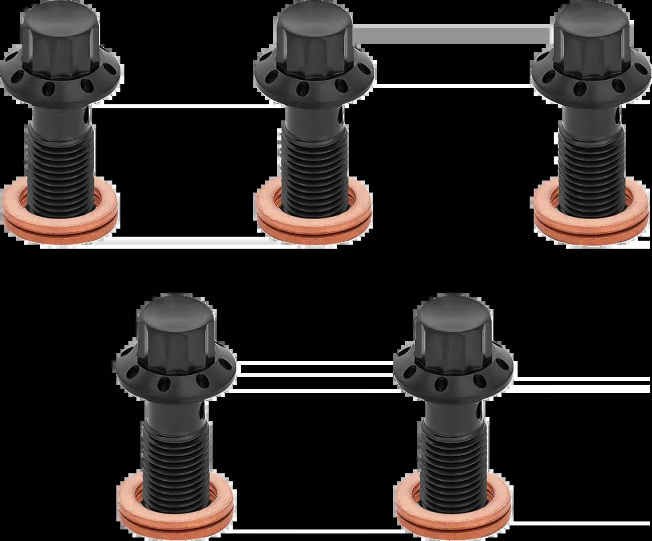 ARLEN NESS Banjo Bolt 5-Pack - M10x1.25 - Black - 300-861