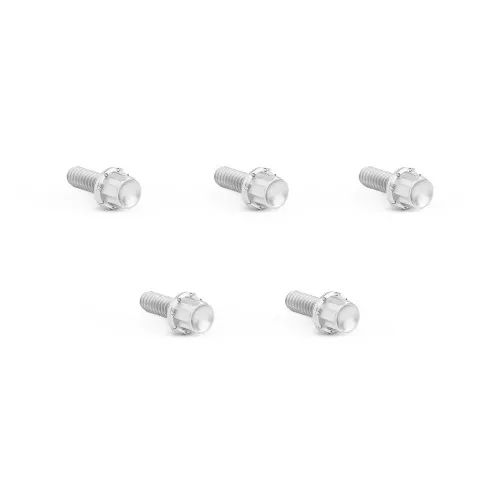 Arlen Ness Derby Cover Titanium 12-Point Bolt Kits for Harley - Polished