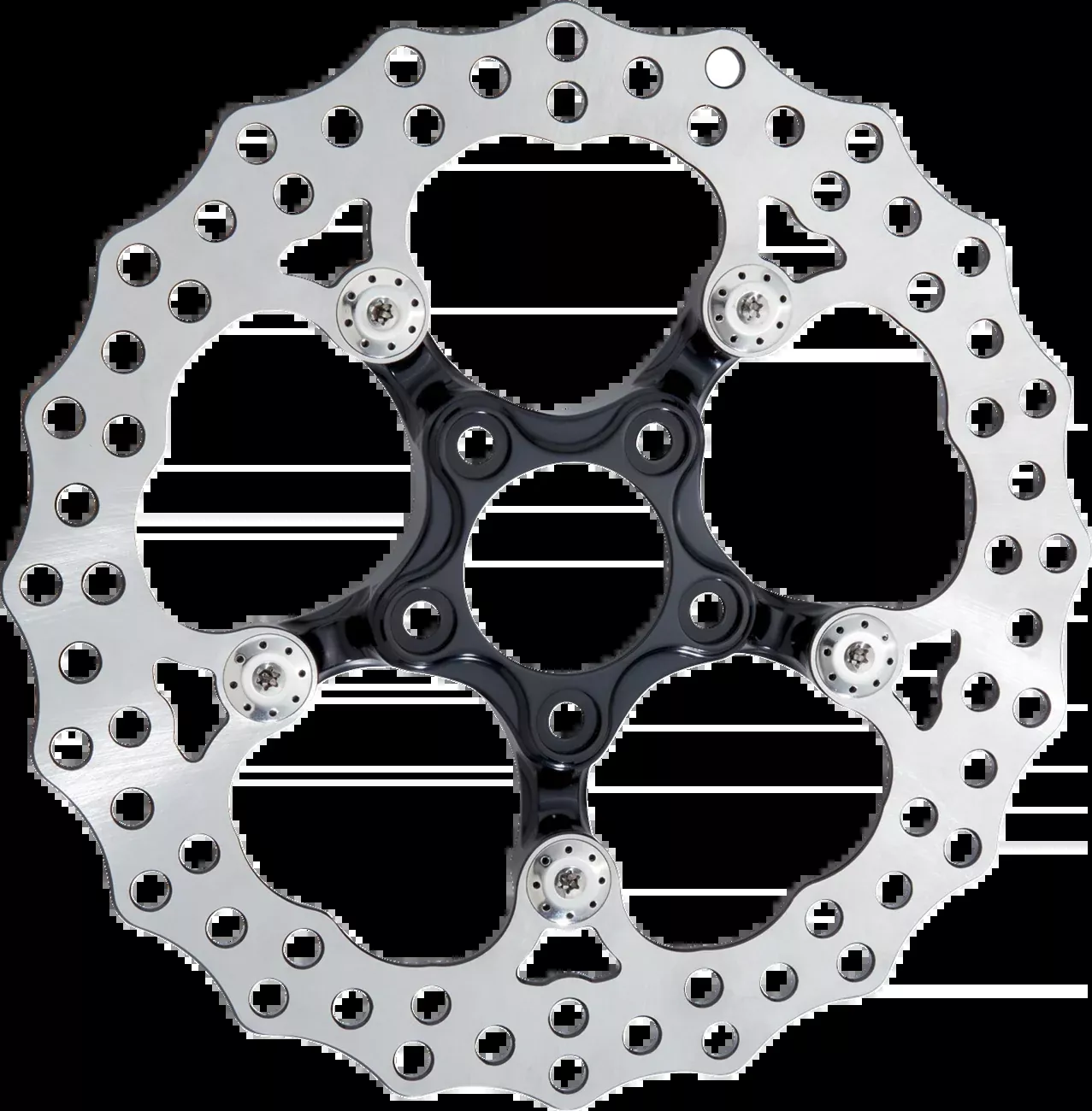 ARLEN NESS Spider Rotor - 11.8" - Rear - Black - 300-059