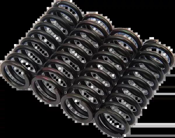 Barnett Clutch Springs – Honda