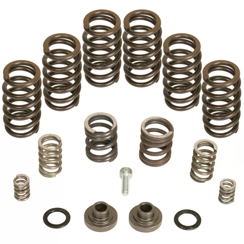 BDD Governor Spring Kits