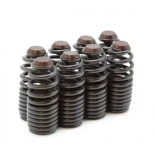 BX Lost Motion Assemblies