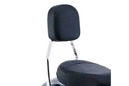Cobra Sissy Bar Tall 17 inchfor M50 only '05-09