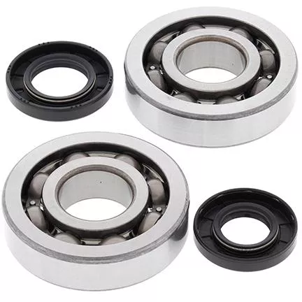 CRANKSHAFT BEARING & SEAL KIT, ALLBALLS 24-1047 KX250 02-07