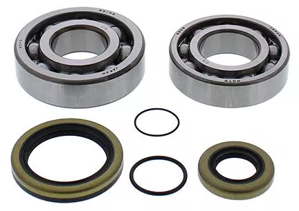 CRANKSHAFT BEARING & SEAL KIT GASGAS, ALLBALLS 24-1118