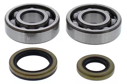 CRANKSHAFT BEARING & SEAL KIT GASGAS, ALLBALLS 24-1119
