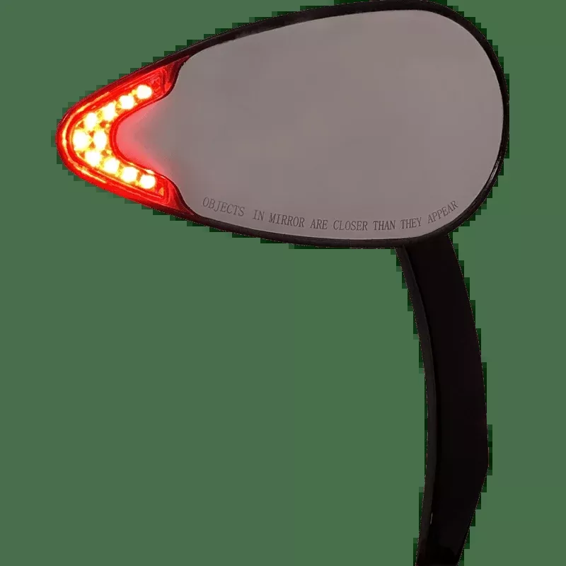 Custom Dynamics Mirror