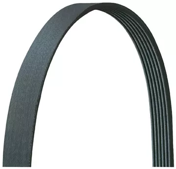 Dayco 5080993DR Serpentine Belt