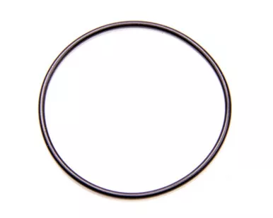 DMI CT1 Seal O-Ring for Seal Plate RRC-1003