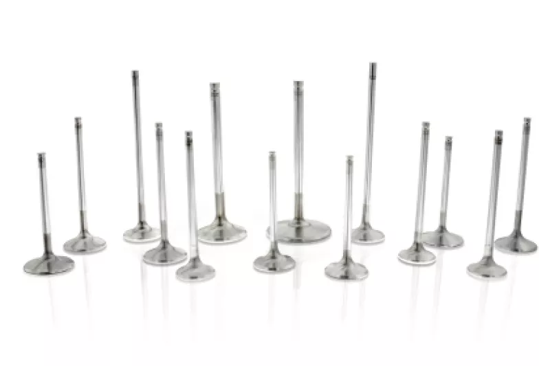 FER Comp Plus Exh Valve – Sets