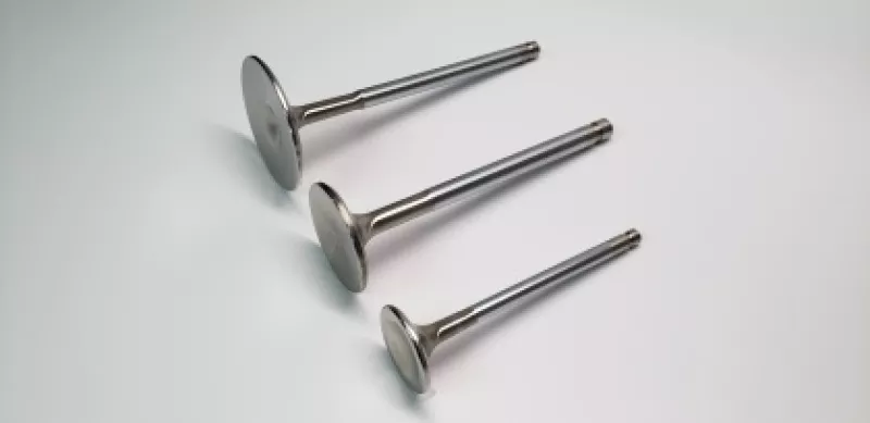 FER Comp Plus Int Valve - Sngl