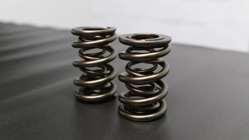 FER Valve Springs – Sets