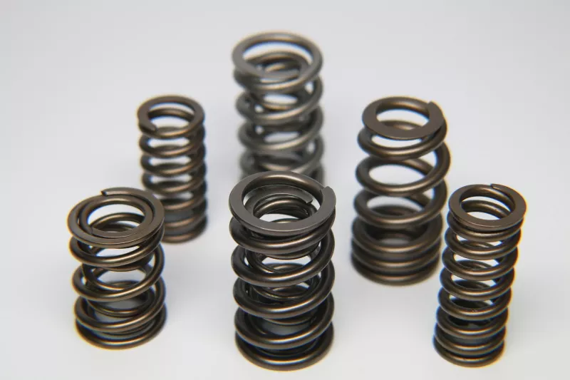 FER Valve Springs – Single