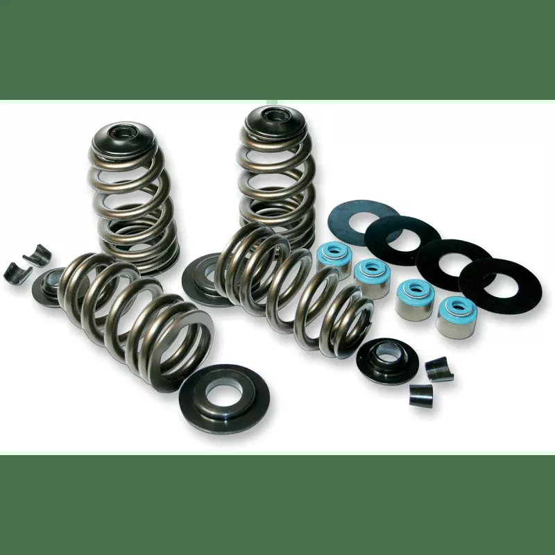 Feuling Oil Pump Corp. 85-04 B/T Econo Beehive V/Spring Kit
