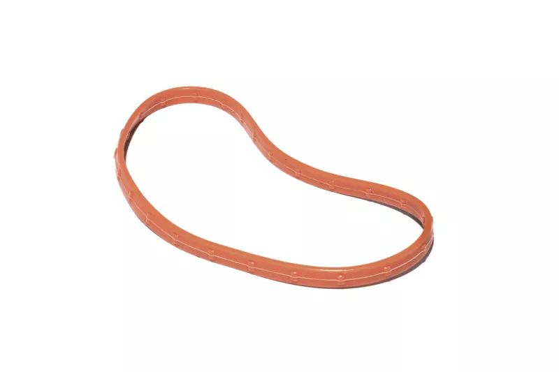 FST Throttle Body Seals