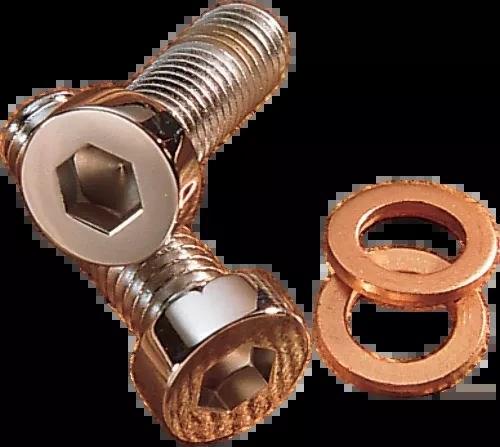 Gardner Westcott 8mm Fork Damper Tube Bolts for 1977-2019 Harley Dyna Touring