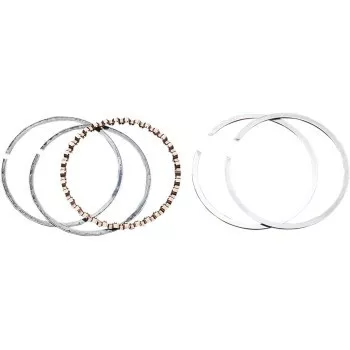 Hastings 2M4941 Piston Rings - 3.875" Standard - 95"/103" Big Bore For Twin Cam