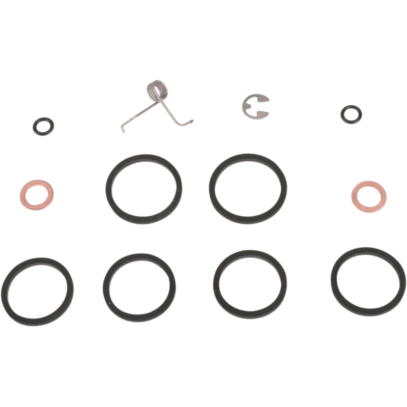 Hawg Halters 6PIS Caliper Rebuild Kit