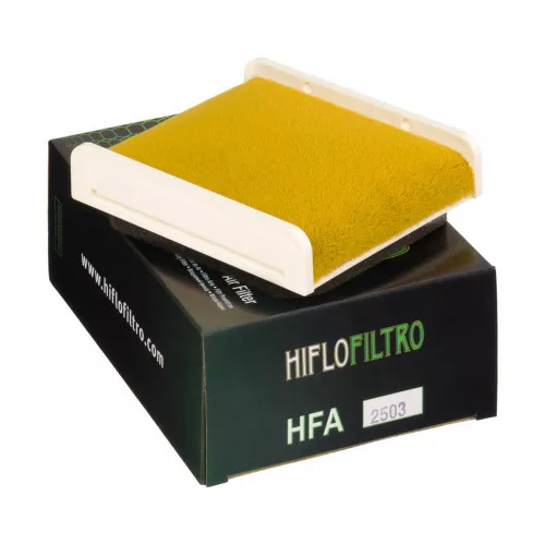 HiFlo OE Replacement Air Filter (HFA2503)