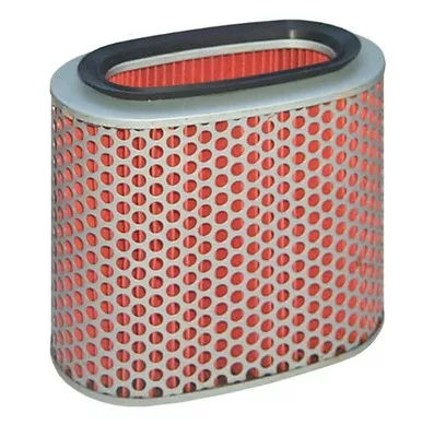 Hiflofiltro HFA1908 Premium OE Replacement Air Filter, Black