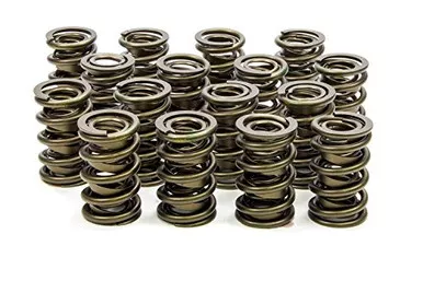 Isky 9945 1.625" Outside Diameter Valve Spring Racing Cams