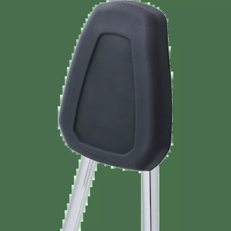 Kuryakyn Sissy Bar SFT 06-17 PN 6584