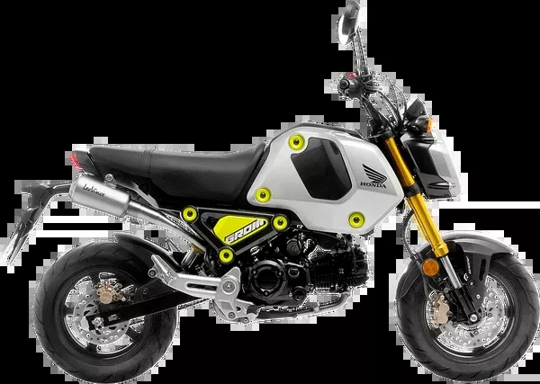 LeoVince LV-10 Exhaust System