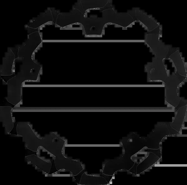 Lyndall Racing Brakes LLC Brake Rotor - Rear - 11" - Black