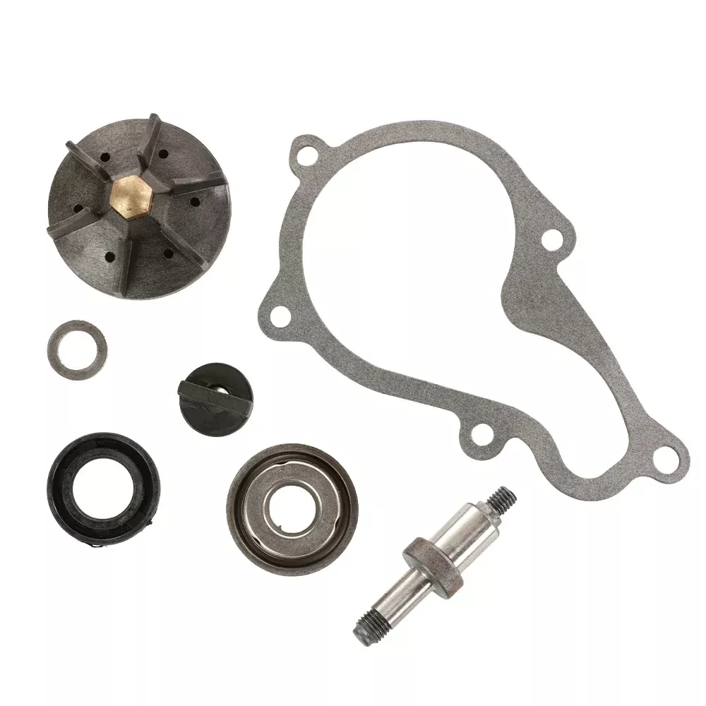 Magneti Marelli Water Pump Repair Kit – Piaggio Beverly 350