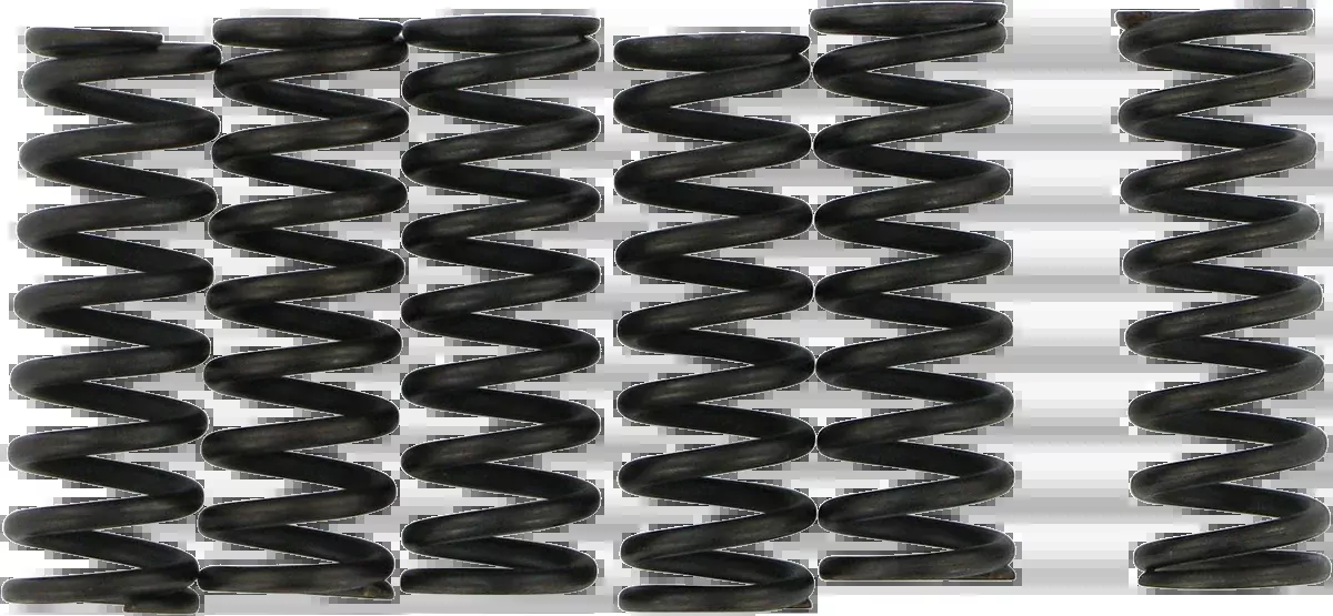 Moose Offroad Clutch Springs-MHDS114-6