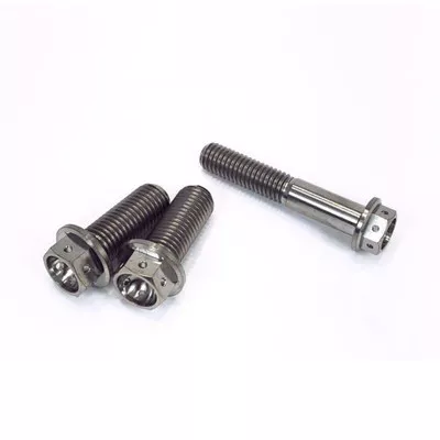 Norton Motorsports Yamaha R3 Titanium Drilled Brake Caliper Bolts (front and rear)