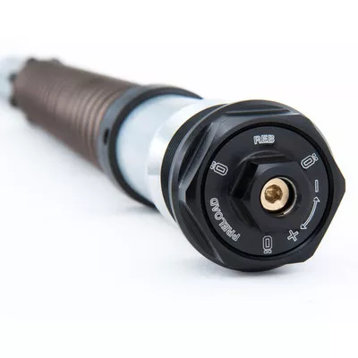 Ohlins Yamaha YZF-R3 15-18 NIX 22mm Fork Cartridge Kit w/Springs