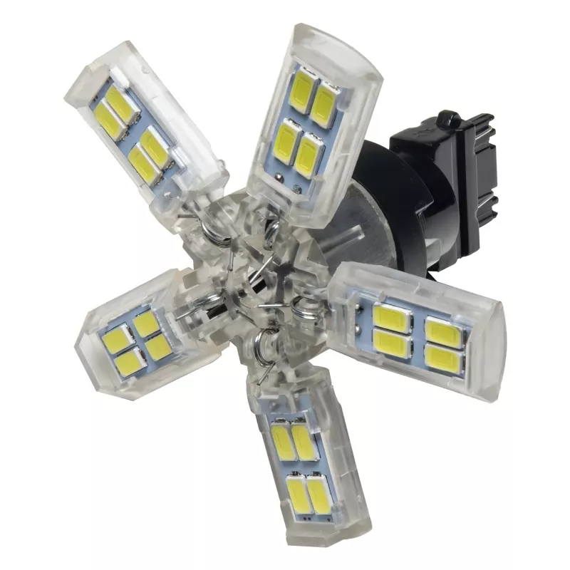 ORL Bulbs - Spider