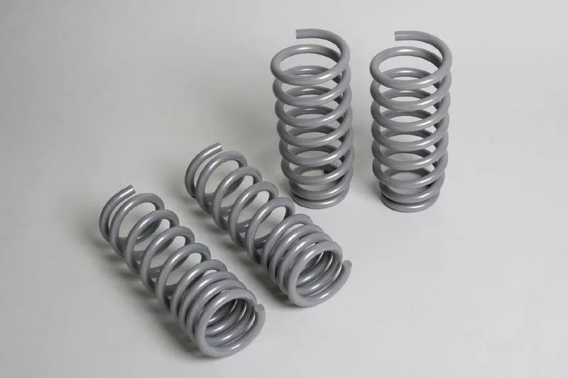 PRG Sport Lowering Springs