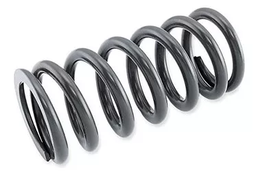 Race Tech Shock Spring 4.0Kg - SRSP 552440