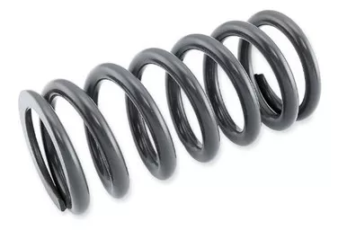 Race Tech Shock Spring 4.8Kg - SRSP 672748