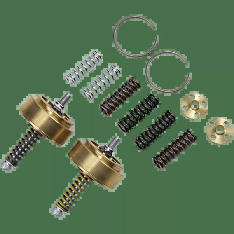 Race Tech Street G.V. Emulator Fork Kit (FEGV S4301)