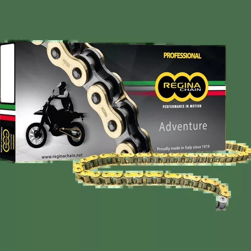 Regina 520 ZRE X 120 Links